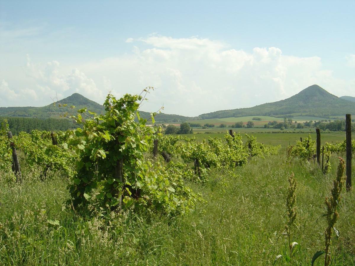 Ferien Im Naturschutzgebiet Apartamento